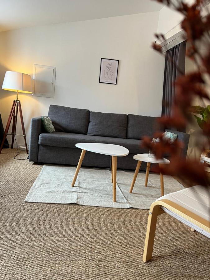 Loft Cosy - Centre Historique Climatise Apartment Revel  Ngoại thất bức ảnh